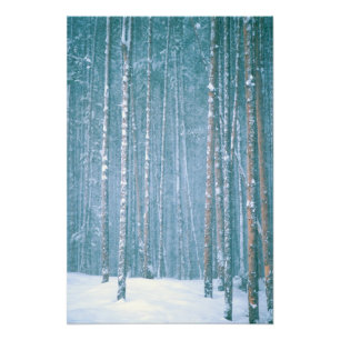 NA, USA, WY. Schnee-Winterlandschaft zwischen Fotodruck