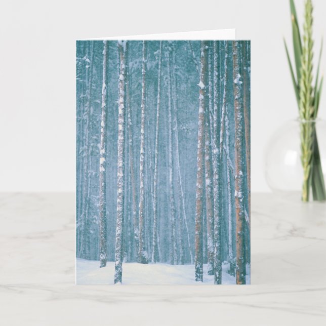 NA, USA, WY. Schneewinterszene Feiertagskarte (Vorderseite)