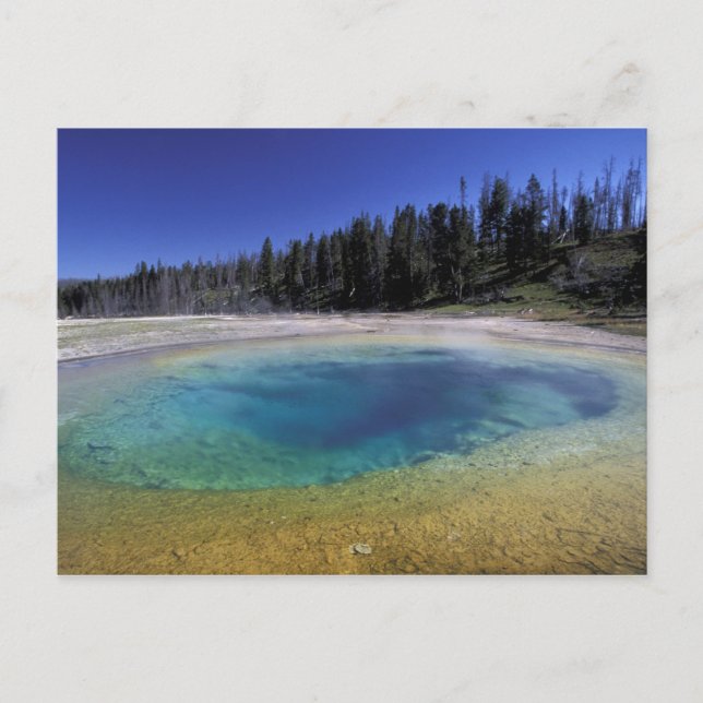 NA, USA, Wyoming, Yellowstone National Park. 2 Postkarte (Vorderseite)