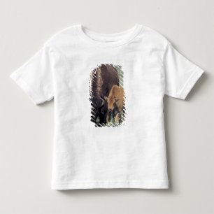 NA, USA, Wyoming, Yellowstone National Park. Kleinkind T-shirt