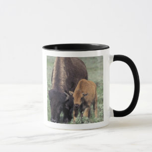 NA, USA, Wyoming, Yellowstone National Park. Tasse