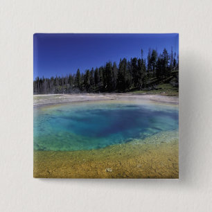 NA, USA, Wyoming, Yellowstone Nationalpark.2 Button