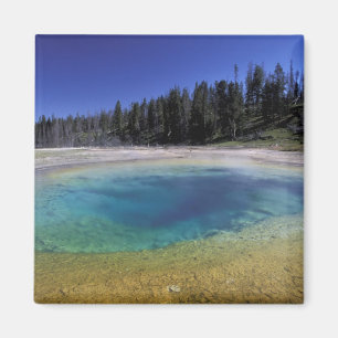 NA, USA, Wyoming, Yellowstone Nationalpark.2 Magnet