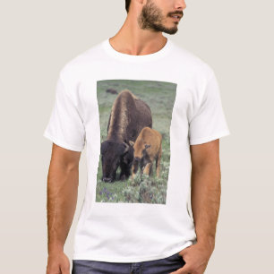 NA, USA, Wyoming, Yellowstone-Nationalpark. T-Shirt