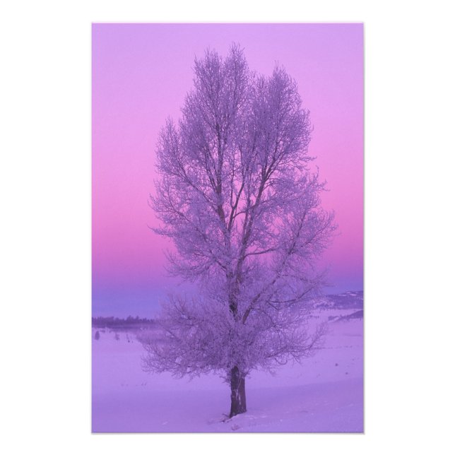 NA, USA, Wyoming, Yellowstone NP, Landschaft Fotodruck (Vorne)