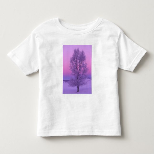 NA, USA, Wyoming, Yellowstone NP, Landschaft Kleinkind T-shirt (Vorderseite)