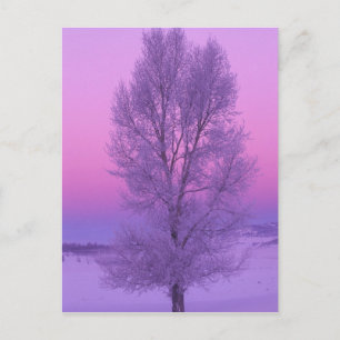 NA, USA, Wyoming, Yellowstone NP, Landschaft Postkarte