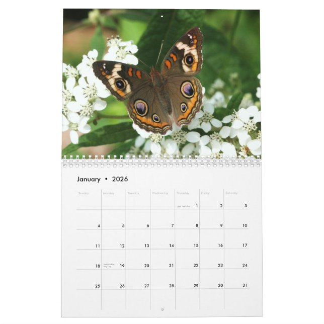 NABA-Sitzungskalender Kalender (Jan 2026)