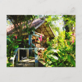Nabitunich Stone Hütten Belize Postkarte
