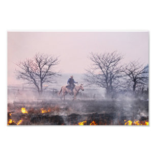 Nach dem Brand der Prärie, den Flint Hills, Kansas Fotodruck