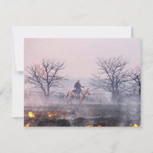 Nach dem Brand der Prärie, den Flint Hills, Kansas Postkarte