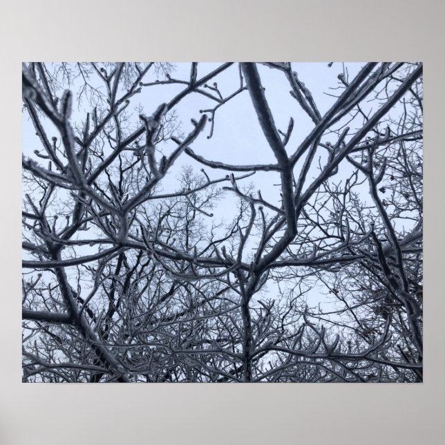 Nach dem Eissturm Poster (Vorne)