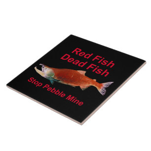 Nach dem Lachs - Stopp der Kieselmine Fliese