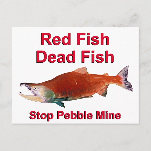 Nach dem Lachs - Stopp der Kieselmine Postkarte (Vorderseite)
