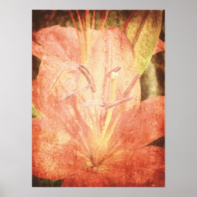 Nach dem Regen, Lily mit Textur Poster (Vorne)