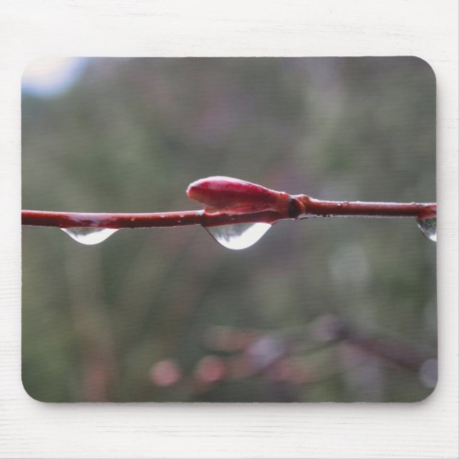 Nach dem Regen Mousepad (Vorne)