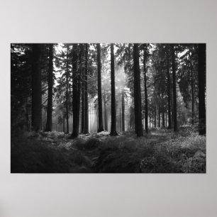 Nach dem Regen-Plakat Poster
