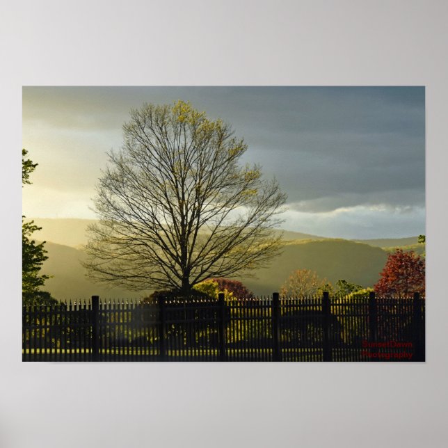 Nach dem Regen Poster (Vorne)