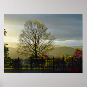 Nach dem Regen Poster