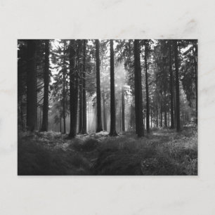 Nach dem Regen Postkarte