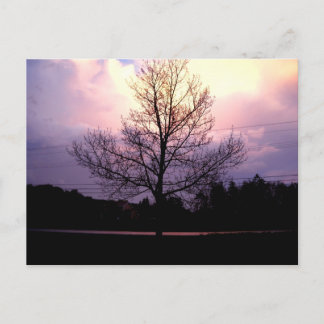 Nach dem Regen Postkarte