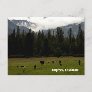 Nach dem Regen....... Postkarte