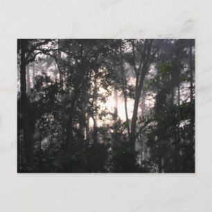 Nach dem Sturm - Postkarte Nr. 2