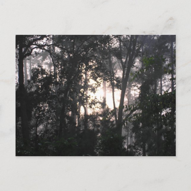 Nach dem Sturm - Postkarte Nr. 2 (Vorderseite)