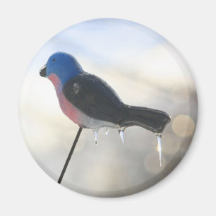 Nach dem Sturm Winter Natur Foto Magnet