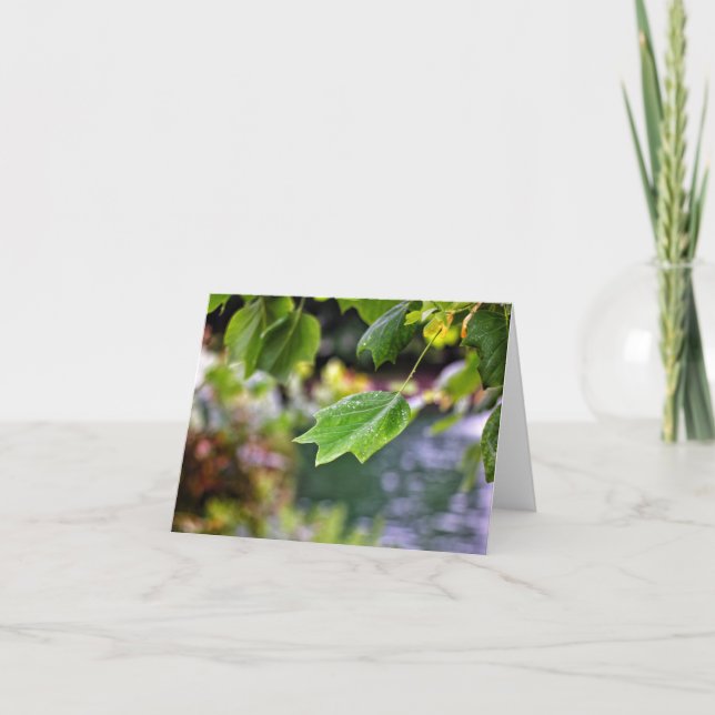 Nach den Mitteilungskarten des Regens (Vorderseite)