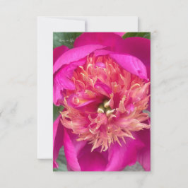 Nach oben nahe Pink-Peony Mitteilungskarte