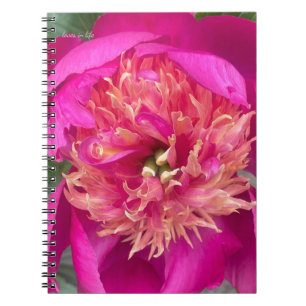 Nach oben nahe Pink-Peony Notizblock