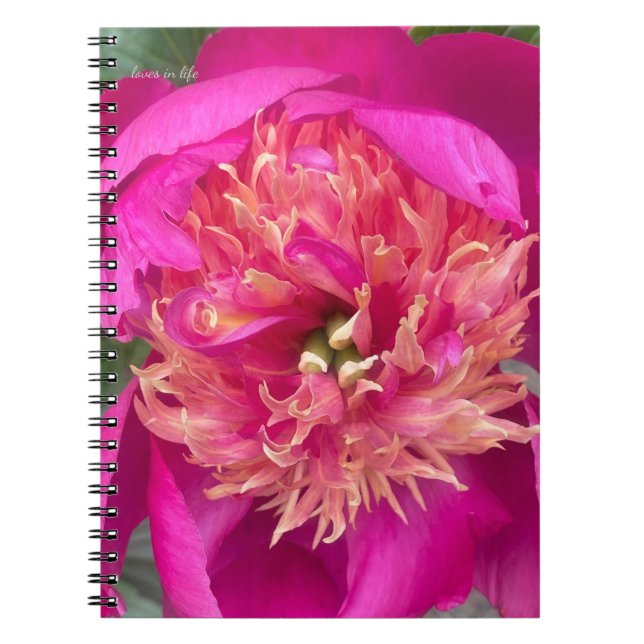 Nach oben nahe Pink-Peony Notizblock (Vorderseite)