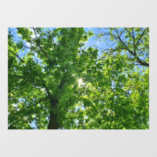 Nach oben schauen zu grünen Blättern und blauem Hi Fensteraufkleber