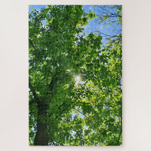 Nach oben schauend zu grünen Blättern und blauem H Puzzle