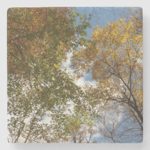Nach oben zu Herbstlaub II Herbst Natur Steinuntersetzer