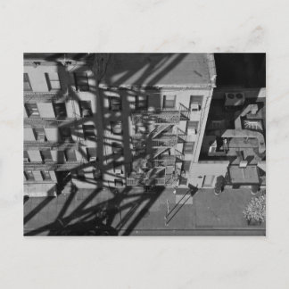 nach Roosevelt. Postkarte