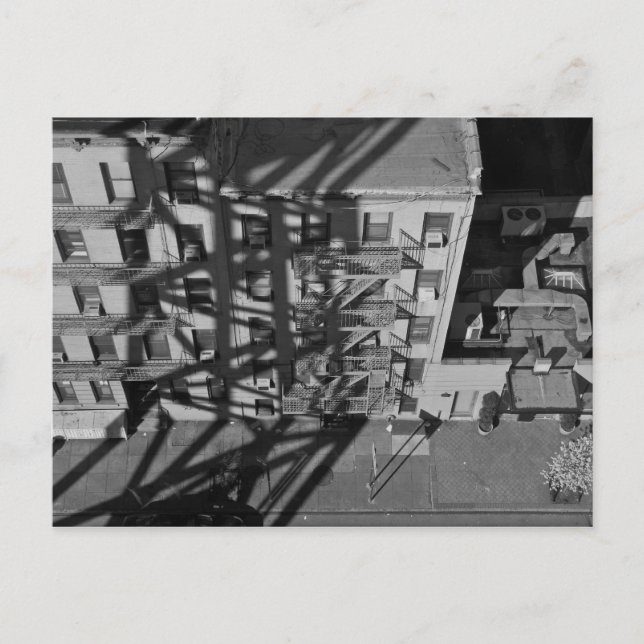 nach Roosevelt. Postkarte (Vorderseite)