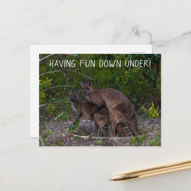 Nach Spaß unter Kangaroo Australien Postkarte (Vorderseite/Rückseite Beispiel)