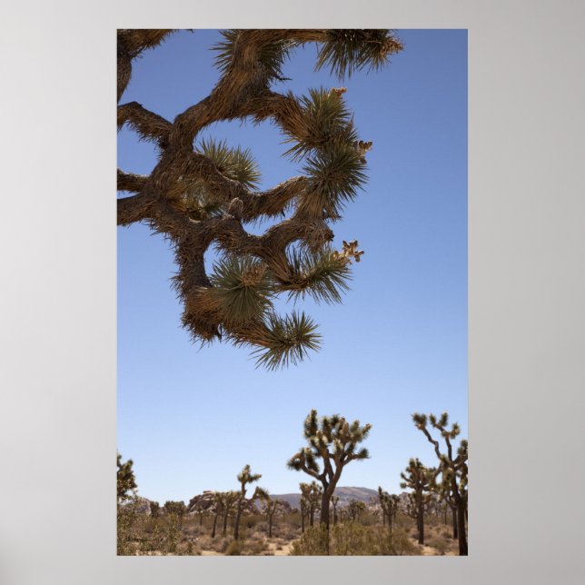 Nach unten poster (Vorne)