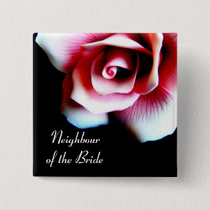 Nachbar der Braut-Rosa-Rose Identifikation. Knopf Button