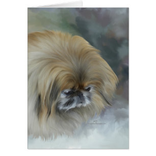 Nachdenklicher Pekinese