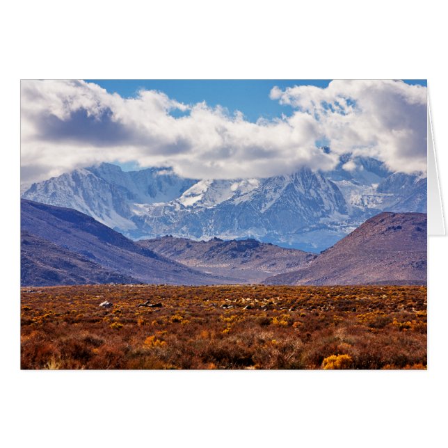 Nachmittag (Vorderseite (Horizontal))