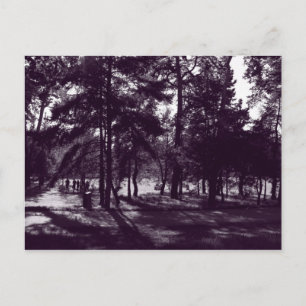 Nachmittag im Park (Lila Toned BW) Postkarte