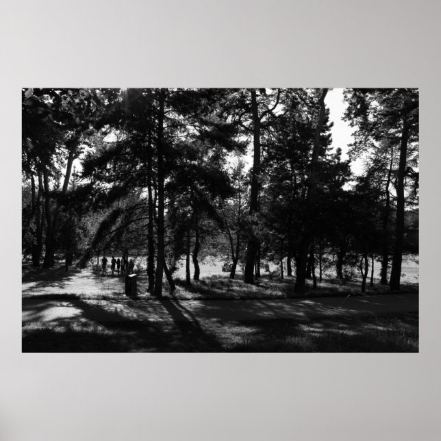 Nachmittag im Park Poster (Vorne)