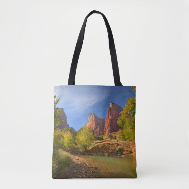 Nachmittag im Zion-Nationalpark (Vorderseite)