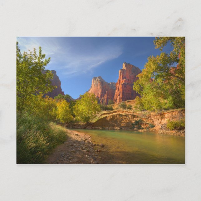 Nachmittag im Zion Nationalpark Postkarte (Vorderseite)