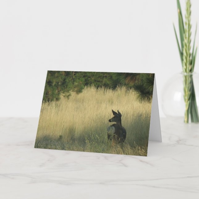 Nachmittag Mulie, Gruß-Karte durch Kennzeichen Karte (Vorderseite)
