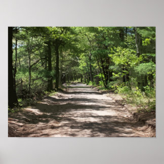 Nachmittagshadows Poster