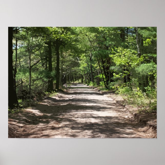 Nachmittagshadows Poster (Vorne)